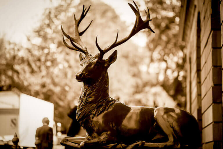 Hochzeitsfotos schloss Platte heiraten wiesbaden