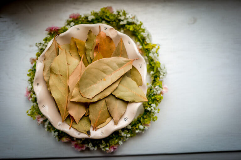 Fotograf hochzeit preise